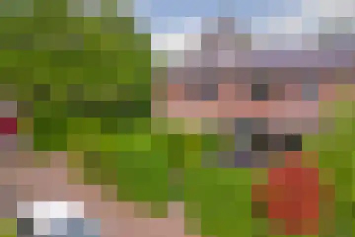 Waterklaver 3 Gouda thumbnail 38