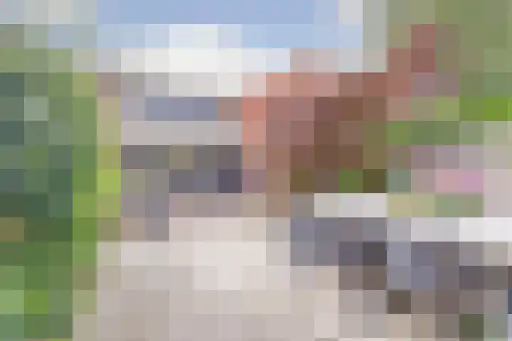 Waterklaver 3 Gouda thumbnail 4