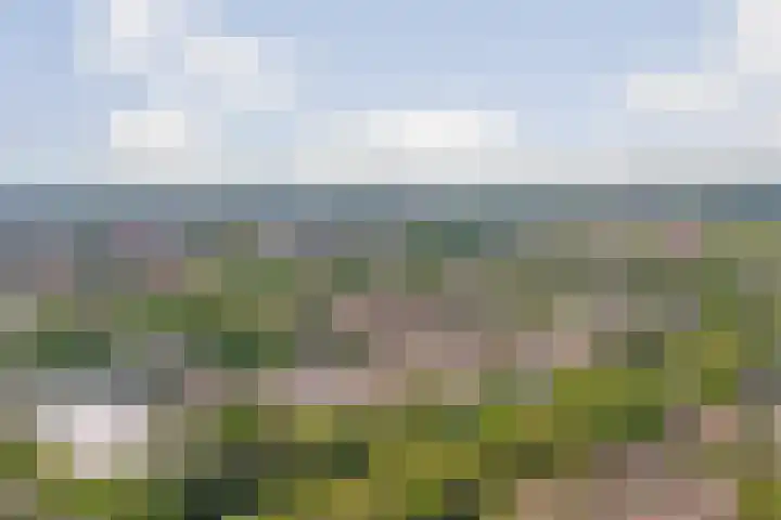 Waterklaver 3 Gouda thumbnail 40