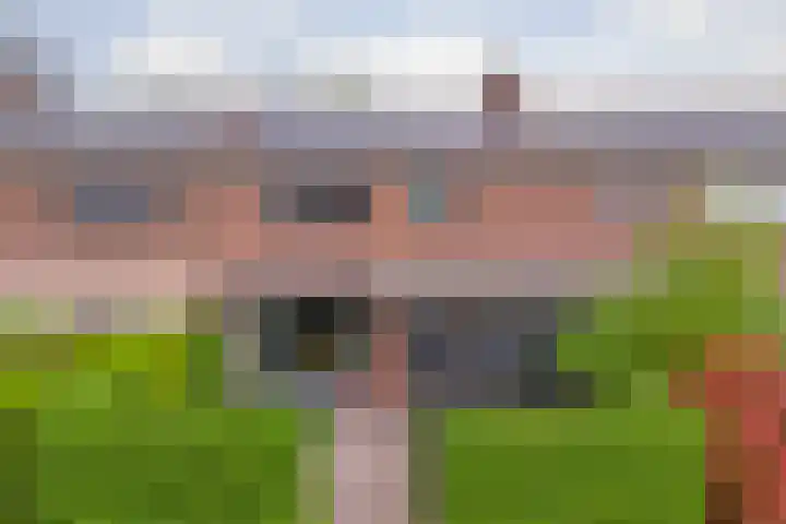 Waterklaver 3 Gouda thumbnail 5