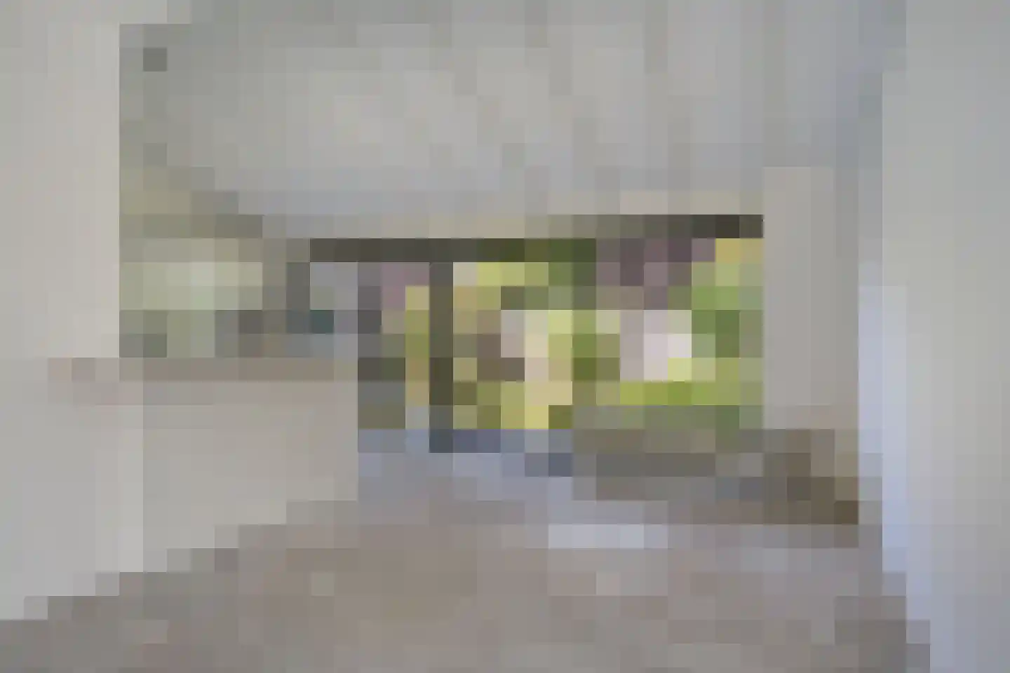 Waterklaver 9 Gouda thumbnail 12