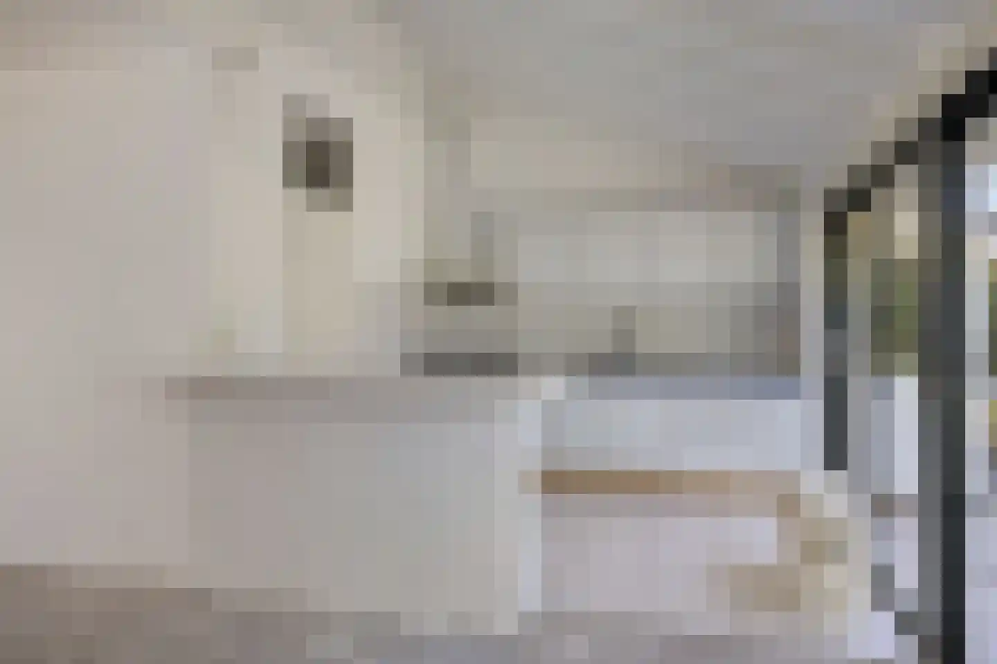 Waterklaver 9 Gouda thumbnail 13