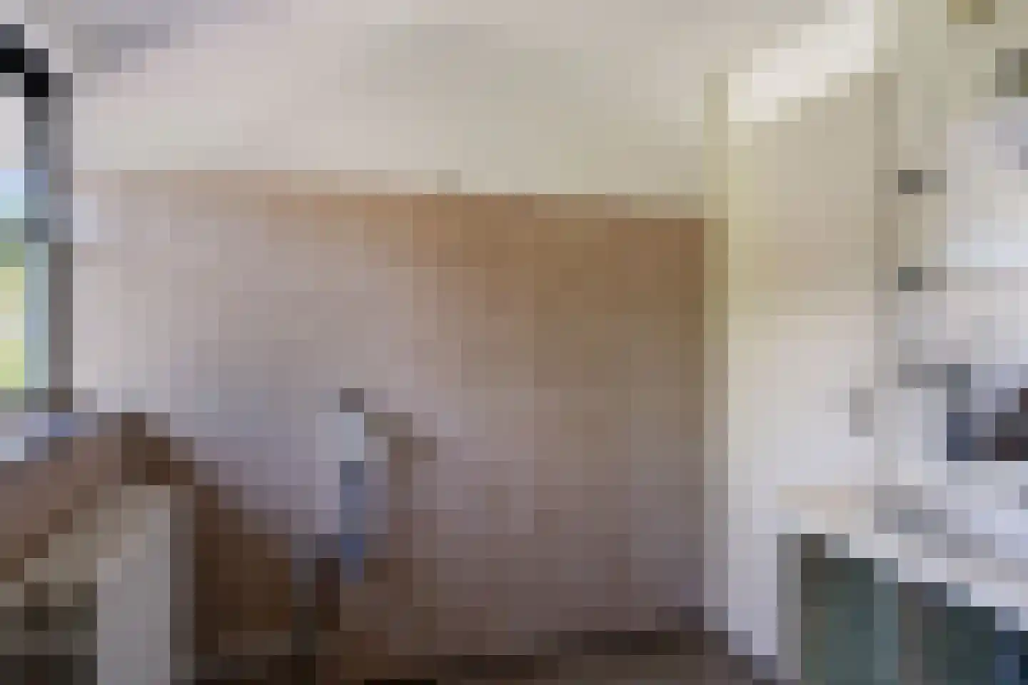 Waterklaver 9 Gouda thumbnail 22