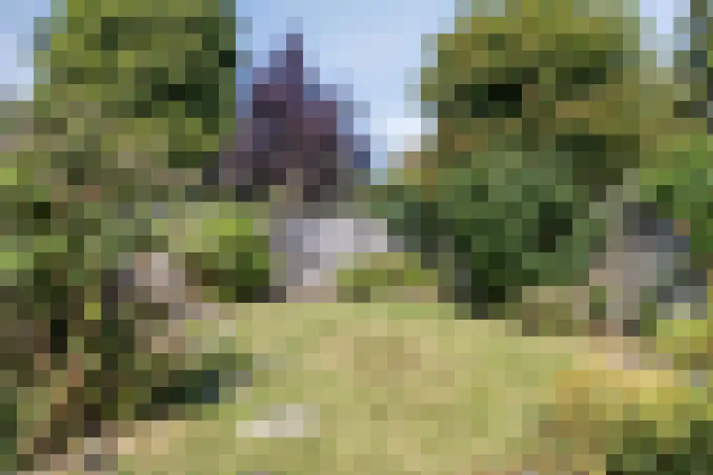 Waterklaver 9 Gouda thumbnail 26