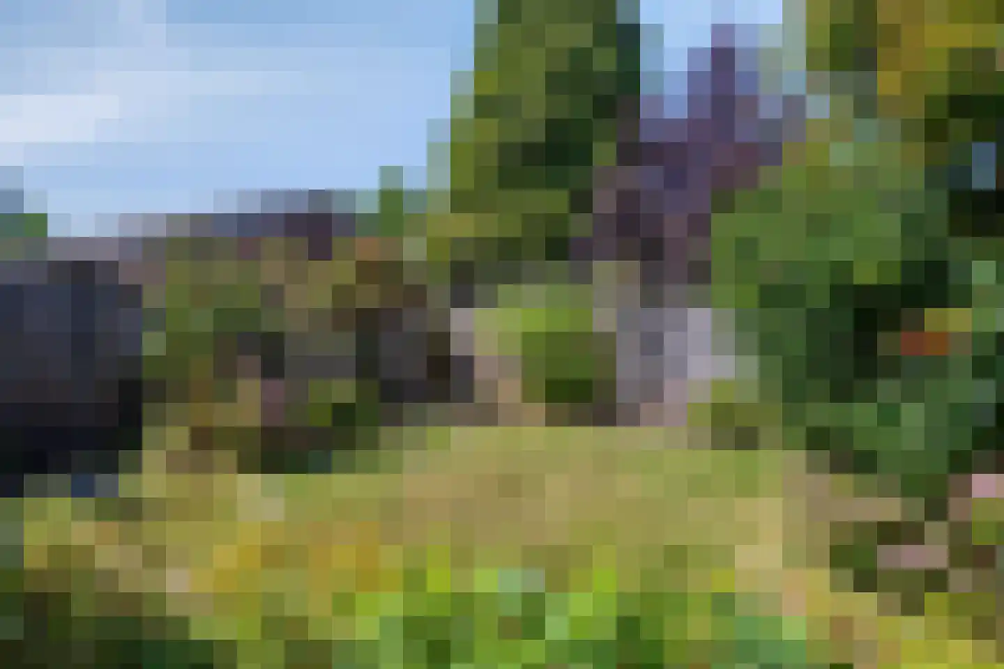 Waterklaver 9 Gouda thumbnail 27