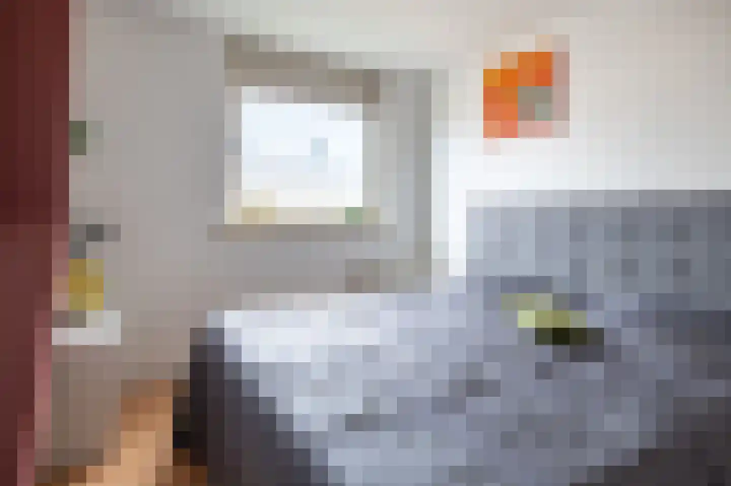 Waterklaverstraat 15 Lisserbroek thumbnail 31