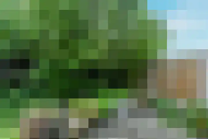 Waterkolk 14 Wierden thumbnail 19