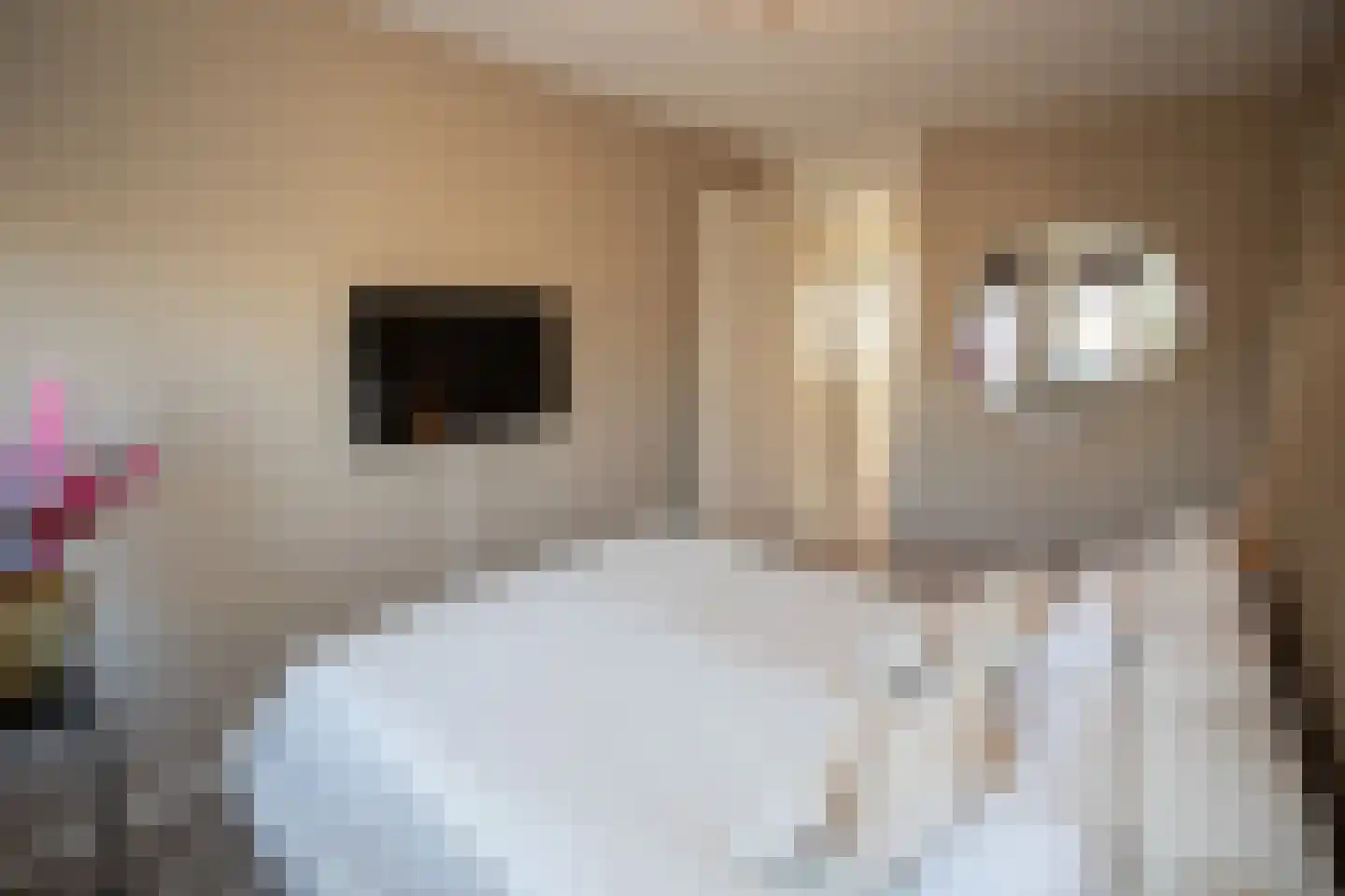 Waterkolk 14 Wierden thumbnail 23