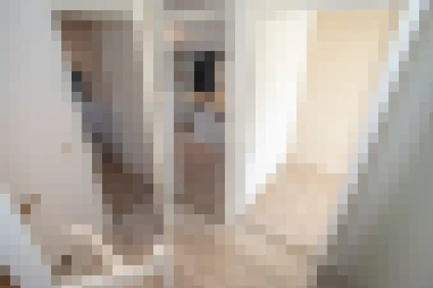 Waterkolk 14 Wierden thumbnail 35
