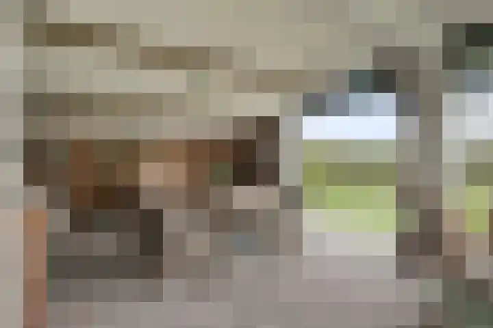 Waterkolk 14 Wierden thumbnail 54