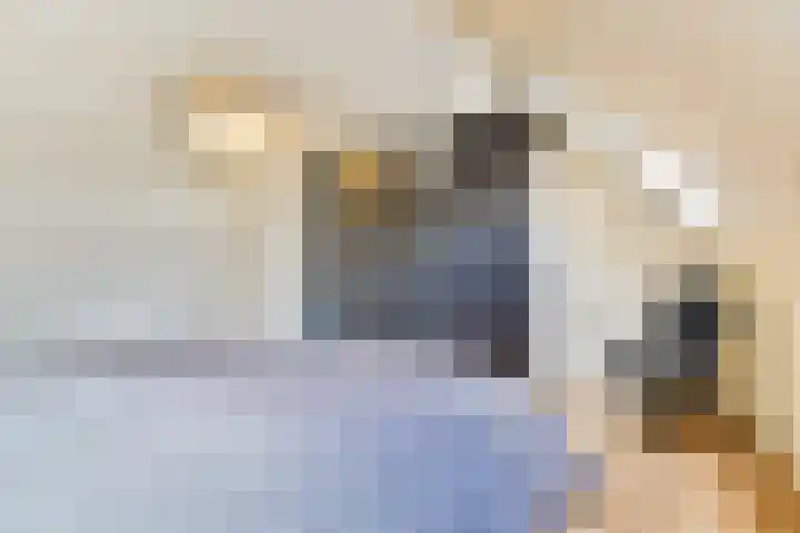 Waterkolk 14 Wierden thumbnail 55