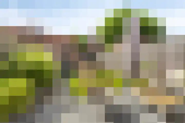 Waterkolk 28 Wierden thumbnail 24