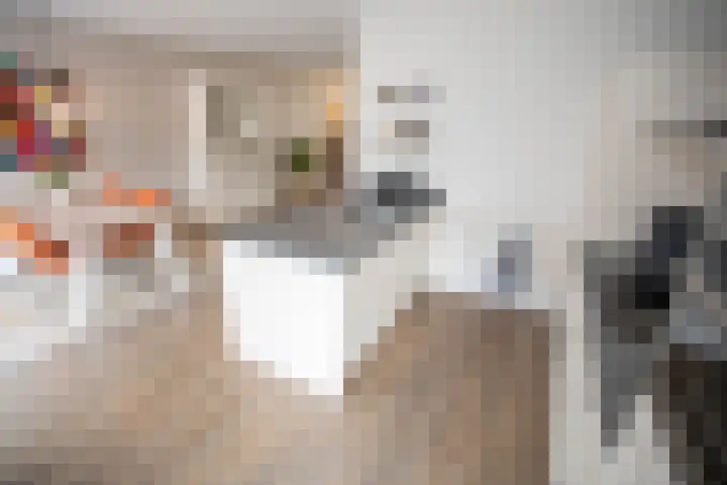 Waterkolk 31 Wierden thumbnail 22