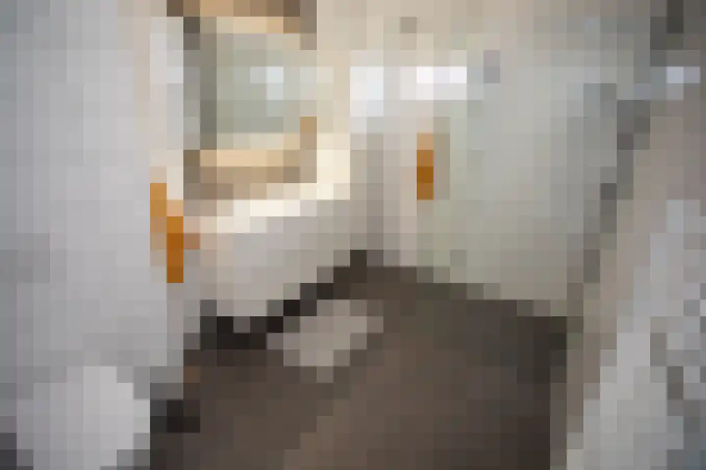 Waterkolk 31 Wierden thumbnail 29