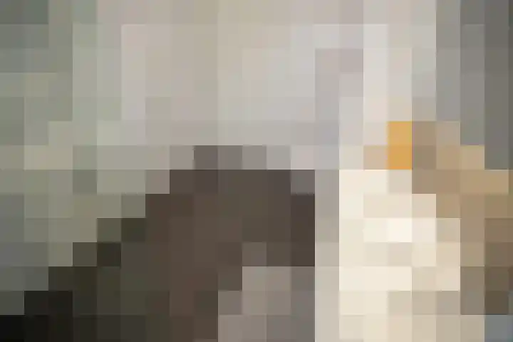 Waterkolk 31 Wierden thumbnail 31
