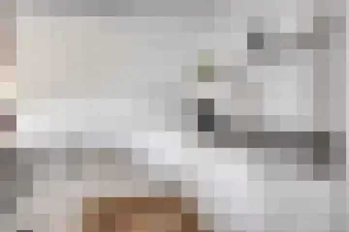 Waterkolk 31 Wierden thumbnail 34
