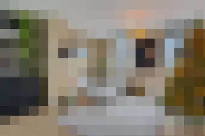 Waterkolk 31 Wierden thumbnail 42