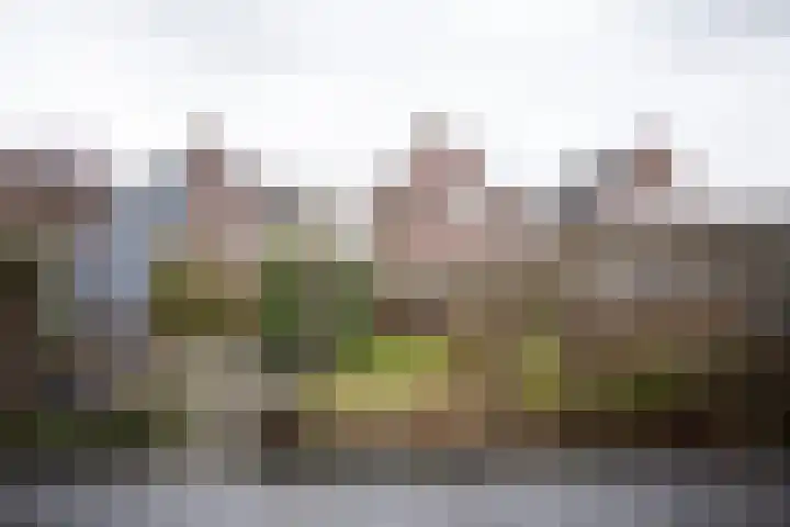Waterkolk 31 Wierden thumbnail 48