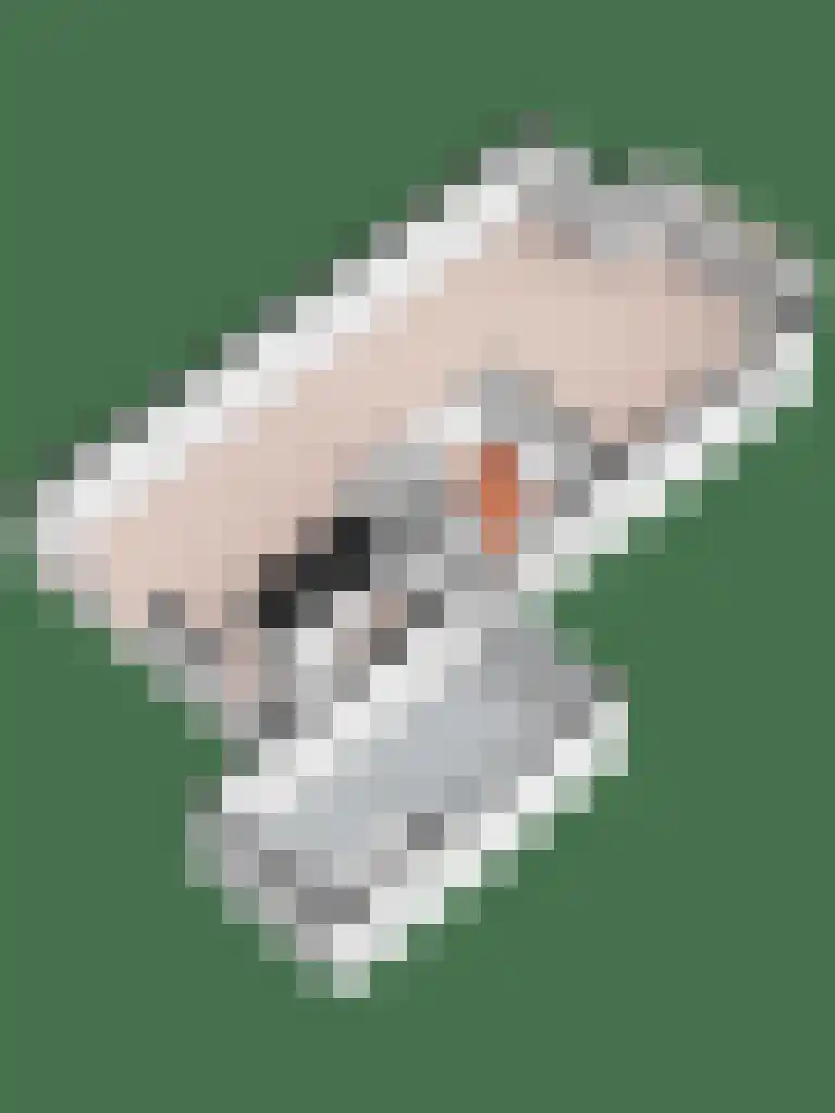 Waterkolk 31 Wierden thumbnail 54