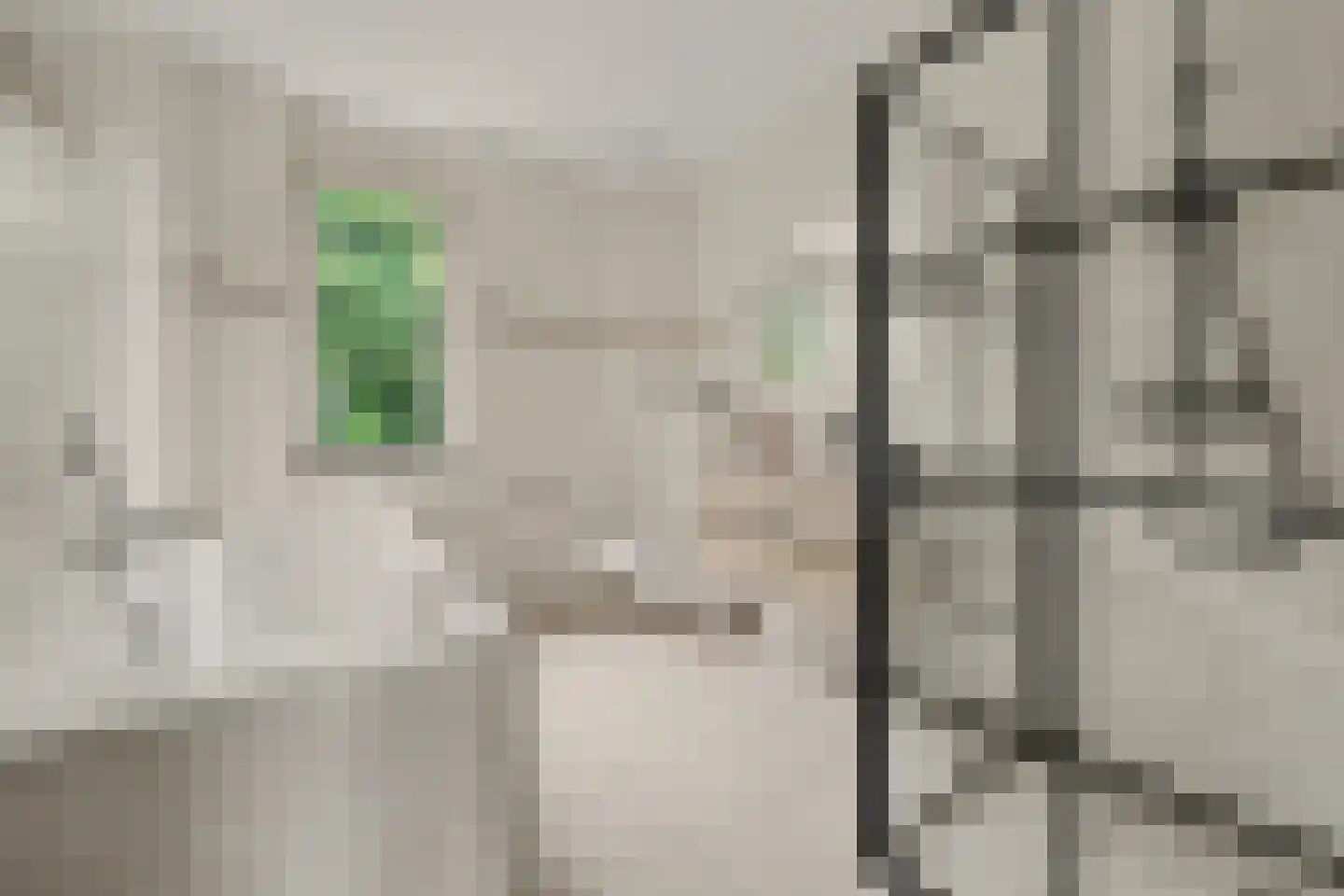 Waterkwartier 16 Helvoirt thumbnail 23