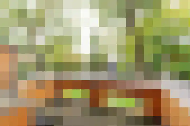 Waterlaan 11 Alkmaar thumbnail 13