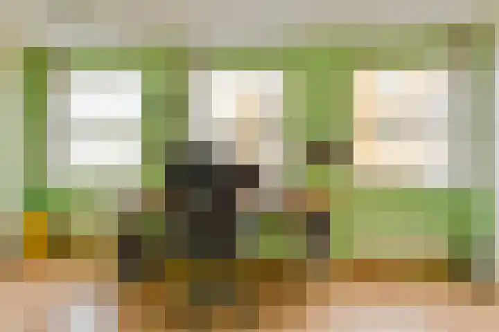 Waterlaan 11 Alkmaar thumbnail 24
