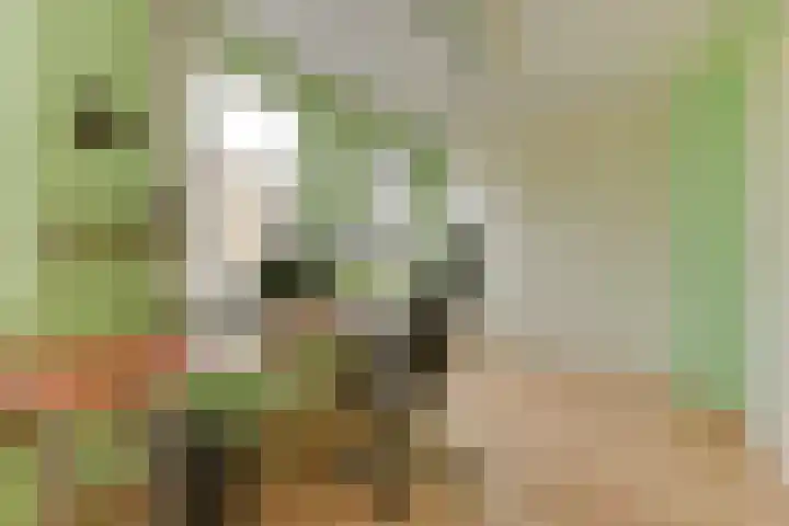 Waterlaan 11 Alkmaar thumbnail 26