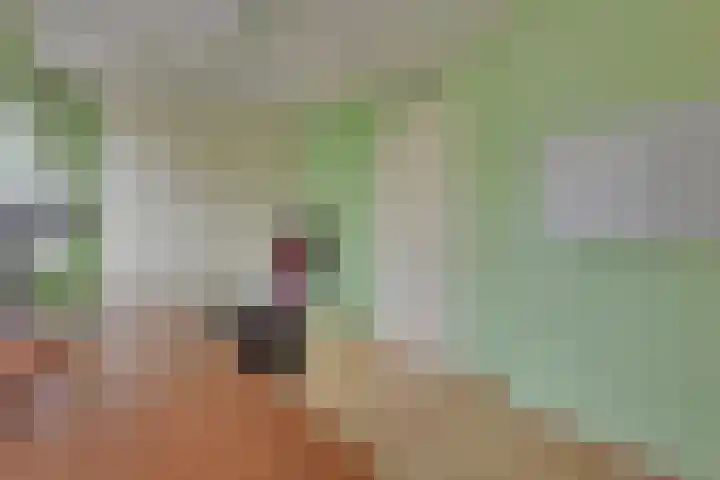 Waterlaan 11 Alkmaar thumbnail 27