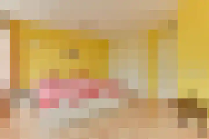 Waterlaan 11 Alkmaar thumbnail 33
