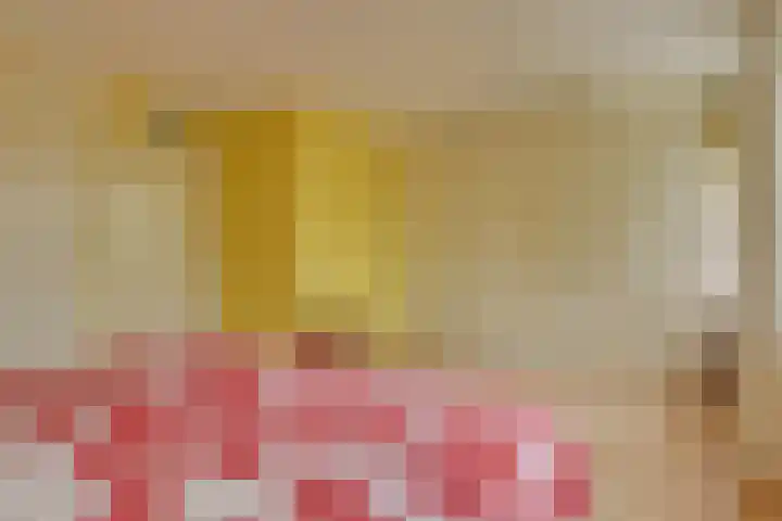 Waterlaan 11 Alkmaar thumbnail 34