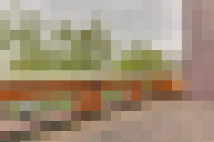 Waterlaan 11 Alkmaar thumbnail 48