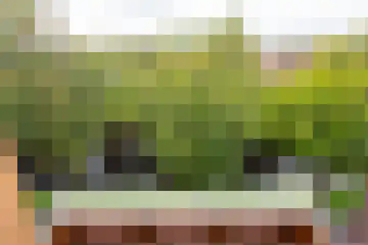 Waterlaan 11 Alkmaar thumbnail 53