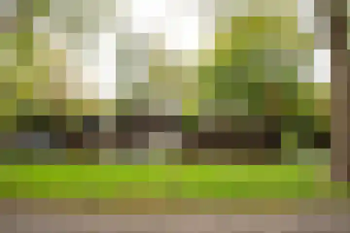 Waterlaan 11 Alkmaar thumbnail 58