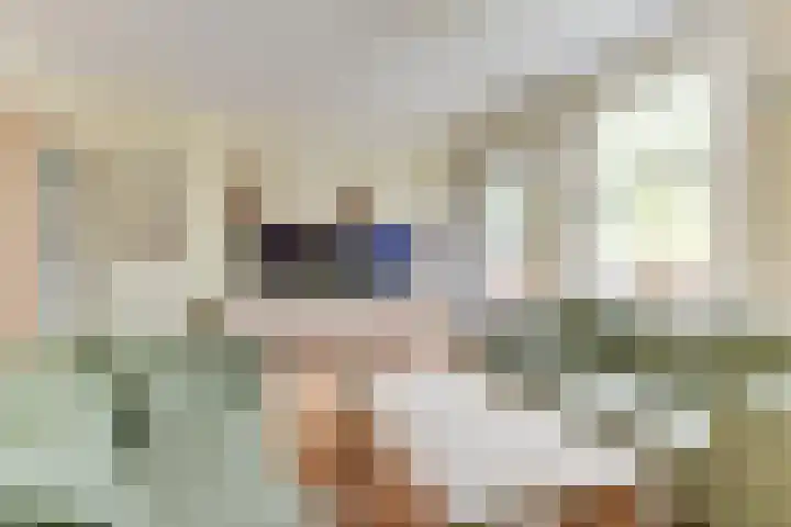 Waterlaan 11 Alkmaar thumbnail 6