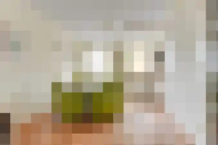 Waterlaan 11 Alkmaar thumbnail 9