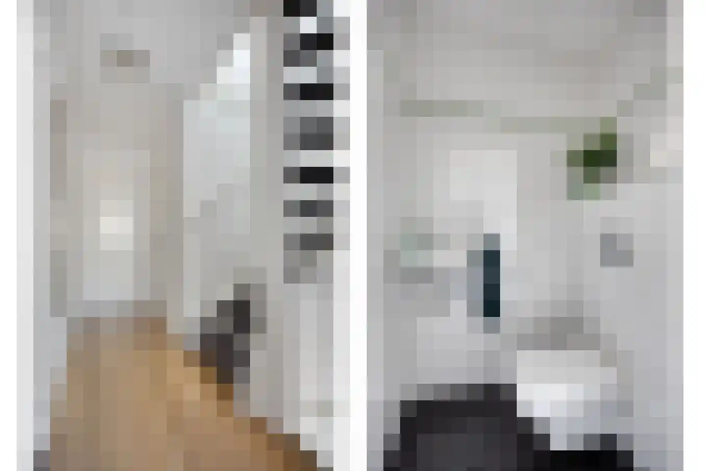 Waterlaan 2 Alkmaar thumbnail 30