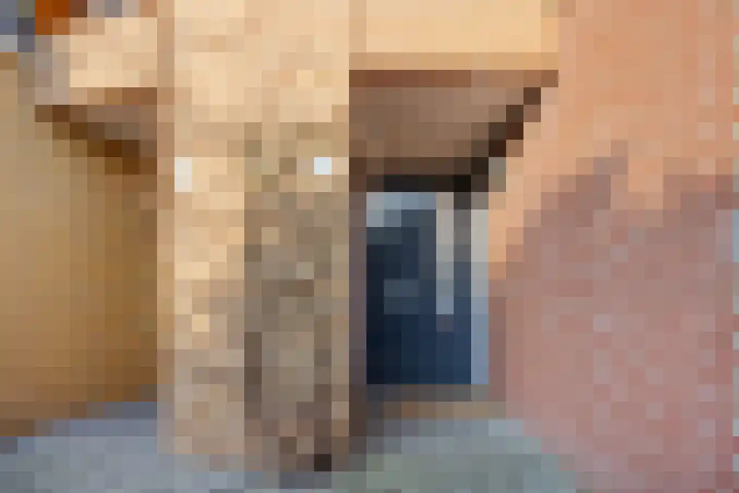 Waterlaan 2 Alkmaar thumbnail 6
