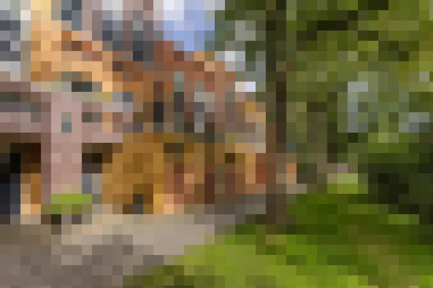 Waterlaan 8 Alkmaar thumbnail 44