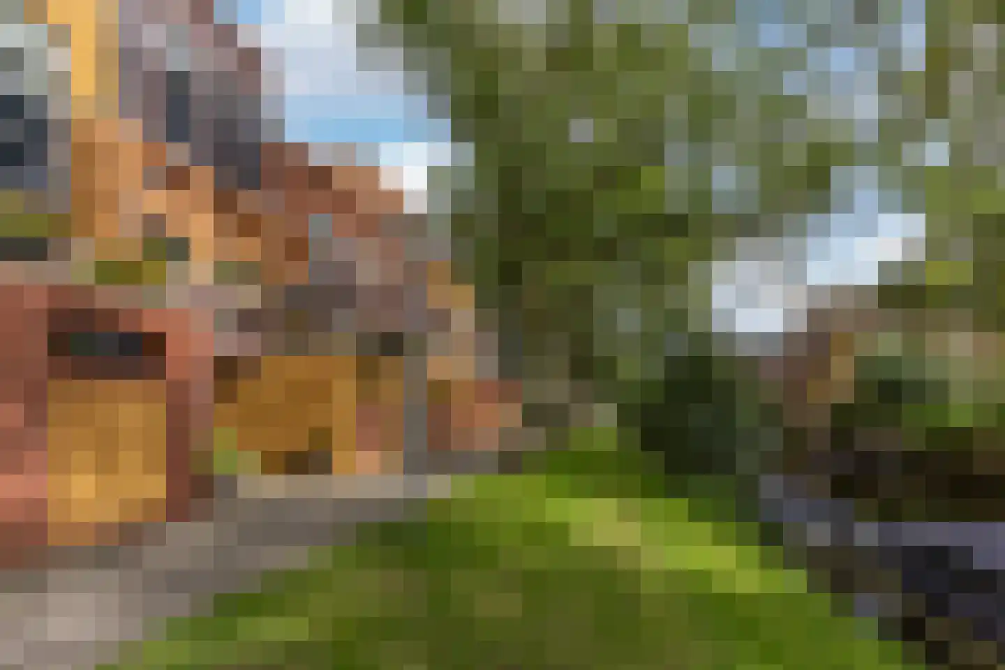 Waterlaan 8 Alkmaar thumbnail 45