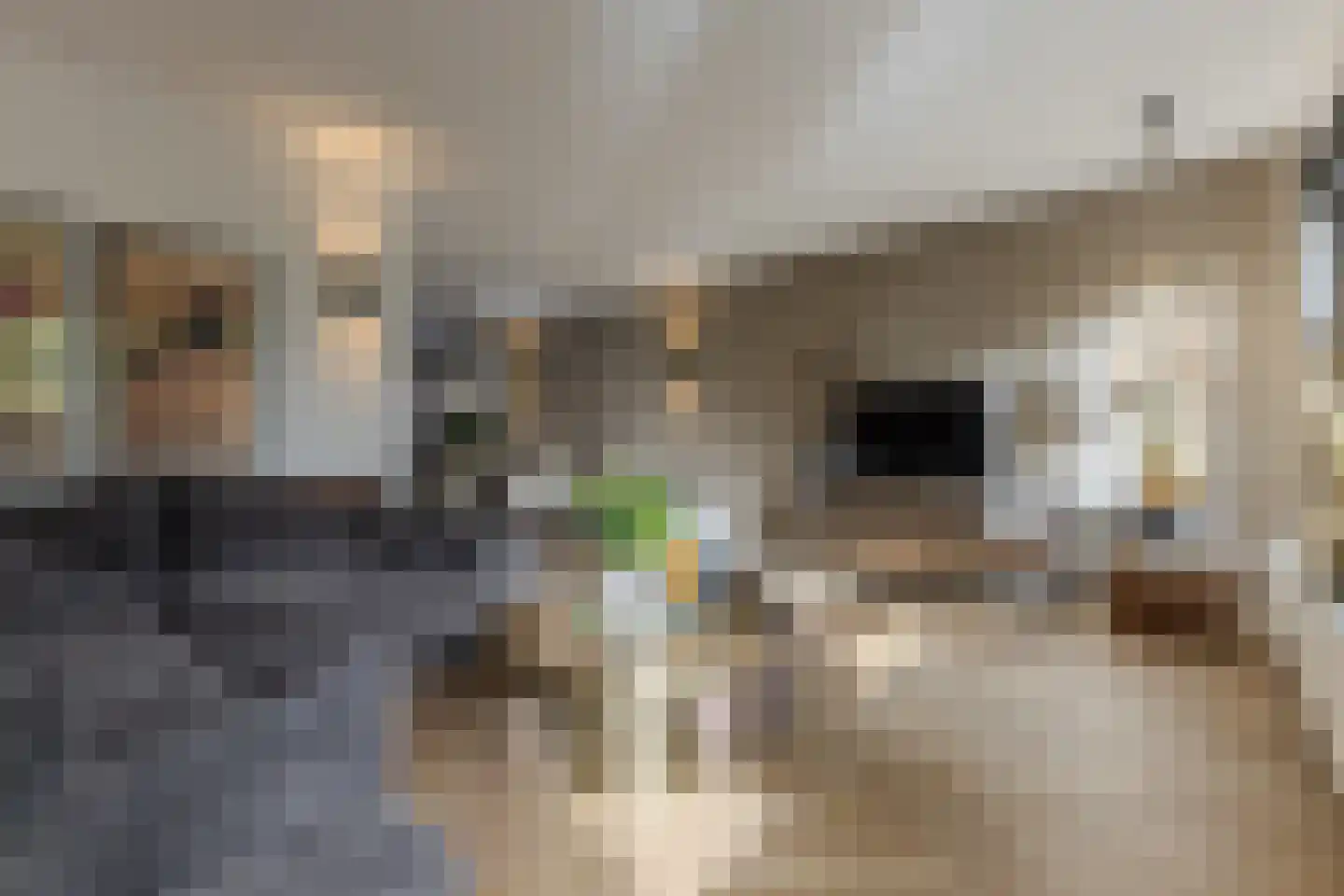 Waterlaan 8 Alkmaar thumbnail 5
