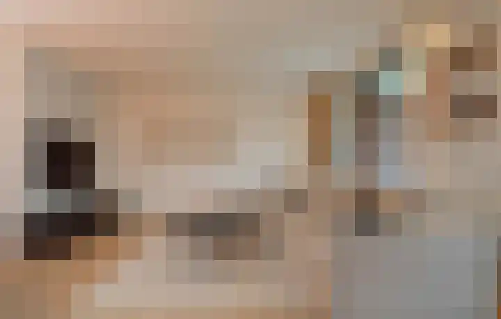 Waterlaat 10 Bakel thumbnail 14