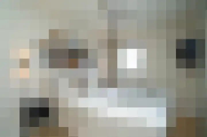 Waterlaat 10 Bakel thumbnail 27