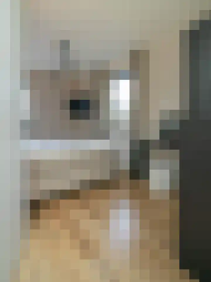 Waterlaat 10 Bakel thumbnail 28