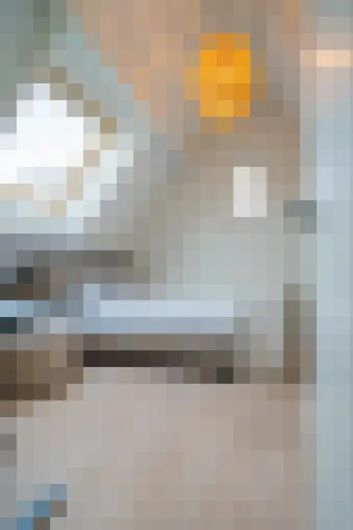 Waterlaat 10 Bakel thumbnail 42