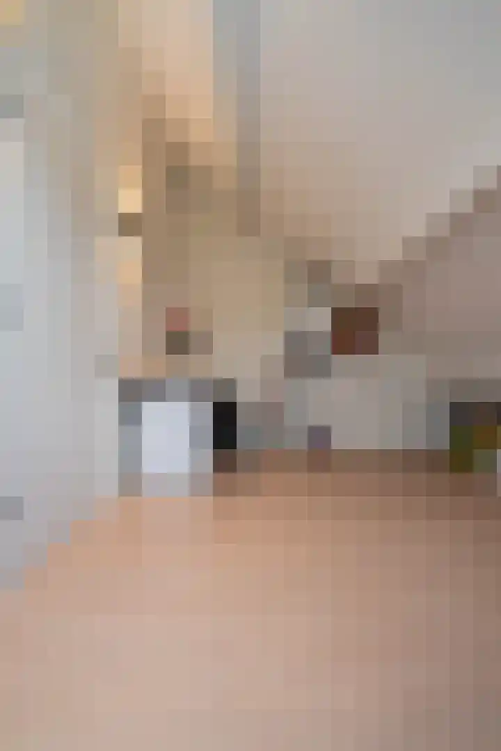 Waterlaat 10 Bakel thumbnail 44