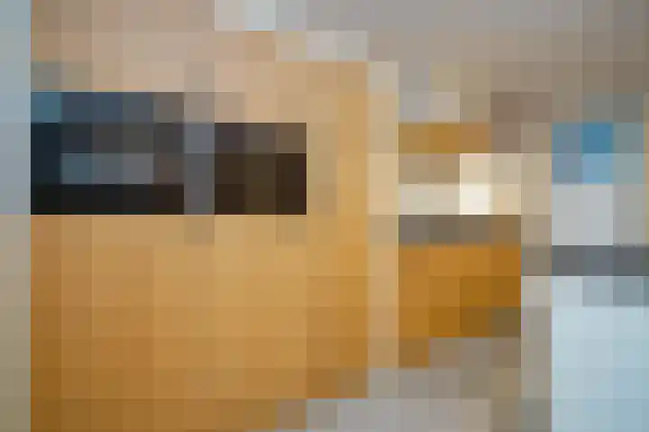 Waterlaat 13 Bakel thumbnail 15