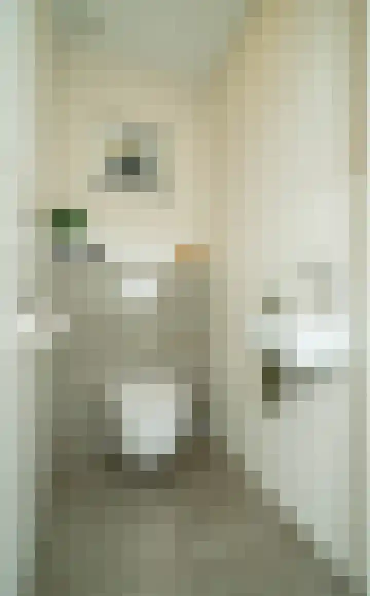 Waterlaat 13 Bakel thumbnail 24