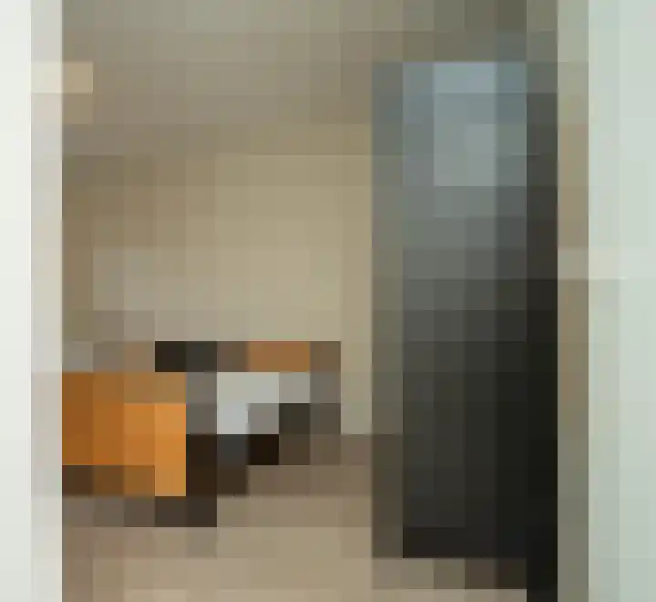 Waterlaat 13 Bakel thumbnail 29
