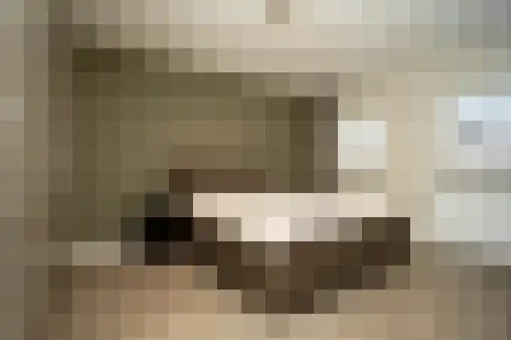 Waterlaat 13 Bakel thumbnail 32