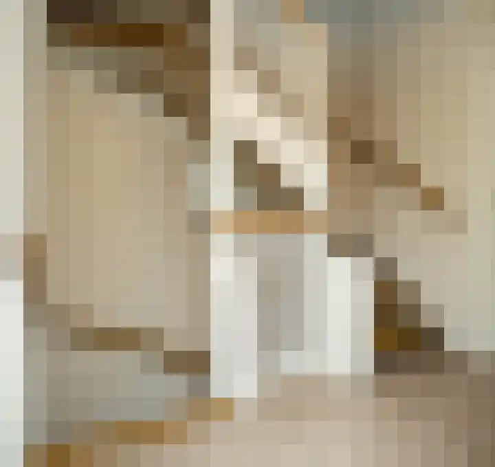 Waterlaat 13 Bakel thumbnail 42